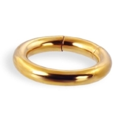 18 ct Gold Segment Ring