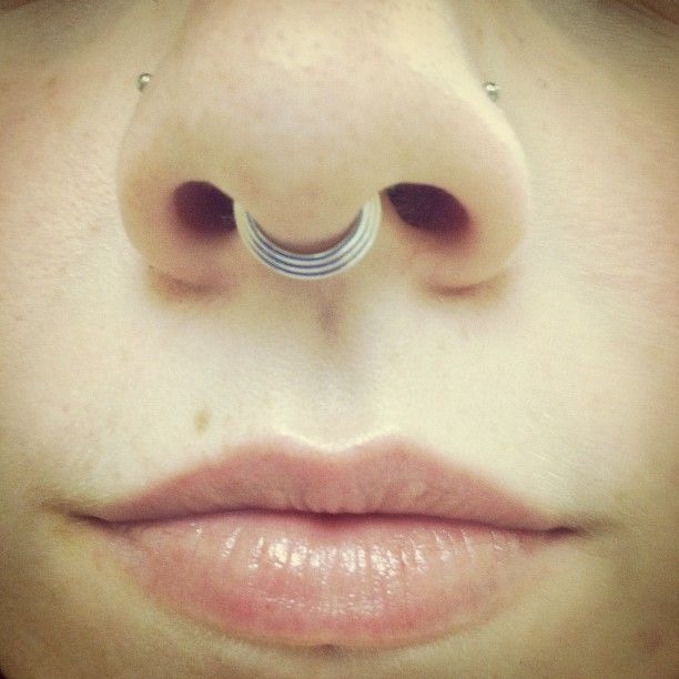 Concave Hinged Septum Ring Steel