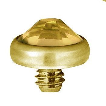 Product Image for Piercing toppar - Invändigt Gängad Micro Dermal Topp med Sten - Guld Titan, Champagne - Barbarella