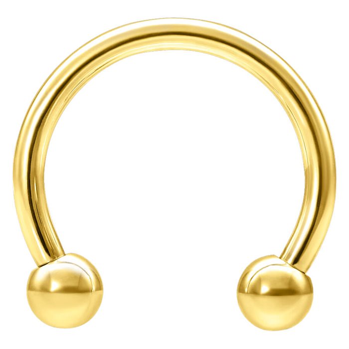 Circular Barbell Golden Titan