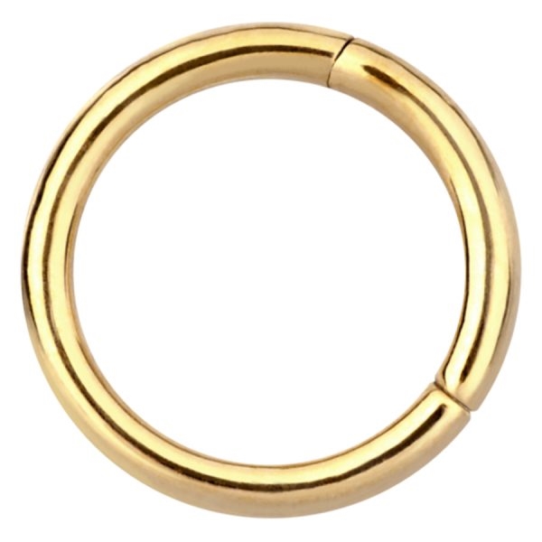 Hinged Segment Ring - 18k Guld 