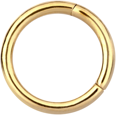 Hinged Segment Ring - Golden Steel