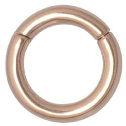 Rose-Gold-Steel-Hinged-Segment-Ring.jpg