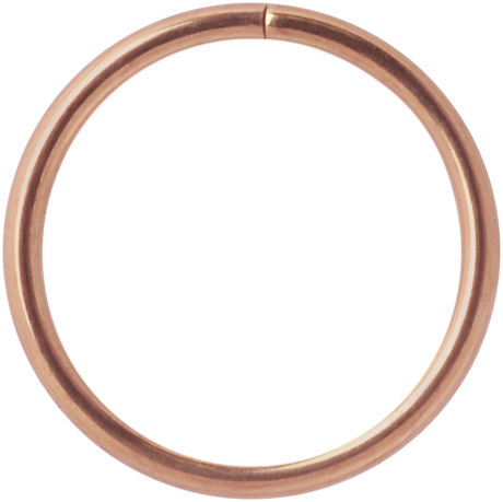 Continuous / Seamless Ring - Rosé Stål