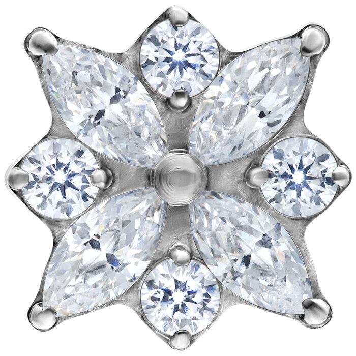TLYFX08SV_01