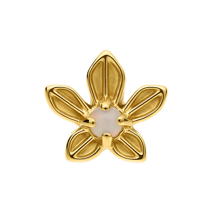 TLYFX111GO_01
