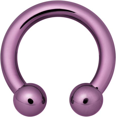 Product Image for Septumpiercing - Anodised (färgad) Hästsko Barbell - Titan, Lila - Barbarella