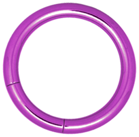Product Image for Öronpiercing - Anodised (färgad) Smooth Segment Ring - Titan, Lila - Barbarella