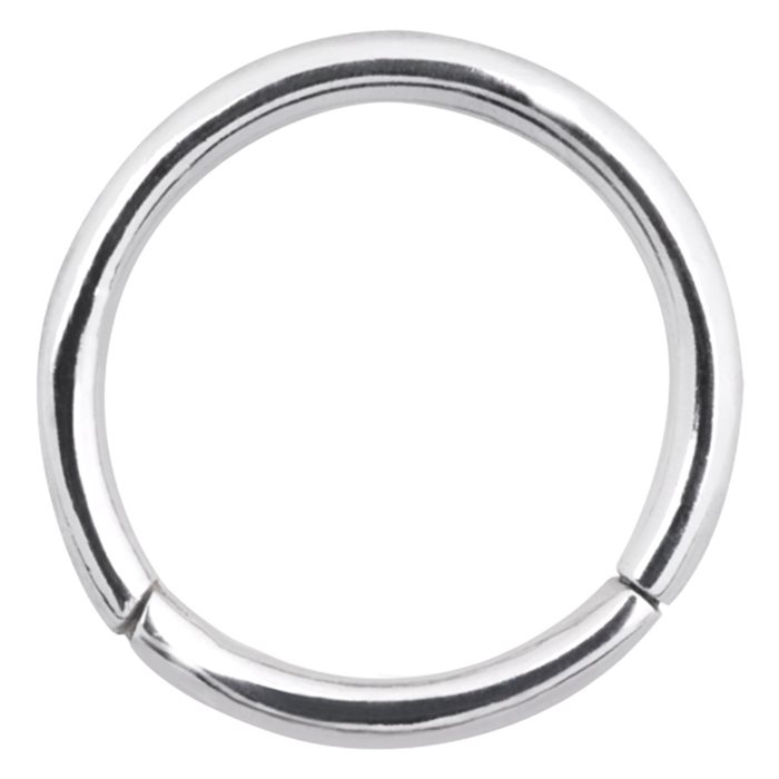 Silvrig Hinged Segment Ring - Titan Aurumline® 