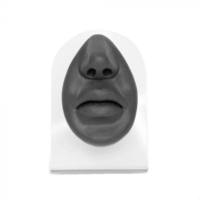 Body Part Display - Nose & Mouth
