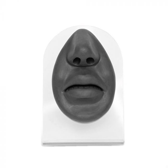 Body Part Display - Nose & Mouth