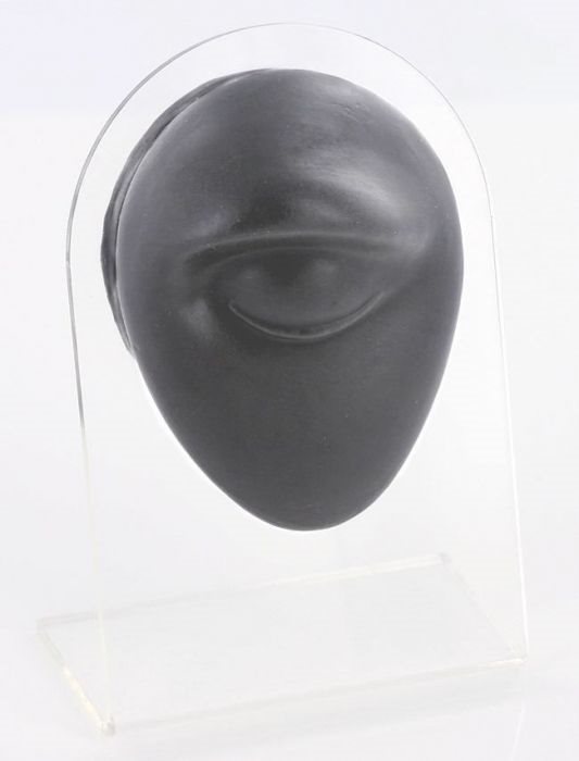 Body Part Display - Eyebrow