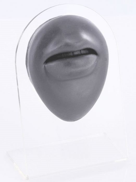 Body Part Display - Mouth