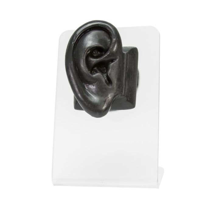 Silicone Body Part Display - Right Ear