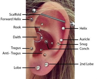 piercing öra brosk