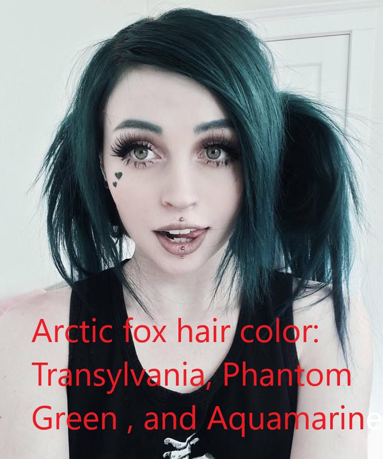 Arctic Fox Vegan and Cruelty-Free Semi-Permanent Hair Color Dye (8 fl oz, Transylvania)
