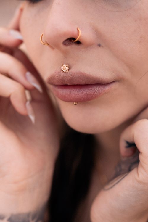 Golden Polar Star BioPlast® Push-fit Labret - Main Image