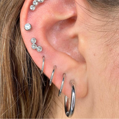 Hinged Segment Ring Steel