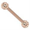 Sealed Jewelled Barbell - Rosé Stål