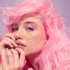 Arctic Fox - Frosé