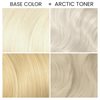 Arctic Fox - Arctic Toner