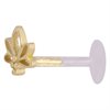 Golden Lotus BioPlast® Push-fit Labret