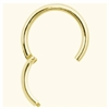 Golden-Steel-Hinged-Segment-Ring