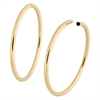 Golden Hollowed Hoops - Sold in pair