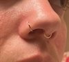 Guldig Hinged Segment Ring - Titan