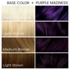 Arctic Fox - Purple Madness