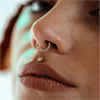 Pave Set Hinged Septum Clicker - Guld Stål