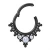 Crystal Bindi Hinged Clicker - Svart Stål