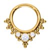 Crystal Bindi Hinged Clicker - Guld Stål