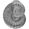 SSC002SV_03