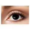 Wildcat Eyes® Fashion Lens - Black - Säljs i par