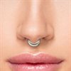 Basic Flat Septum Clicker - Titan