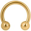 Guldig Hästsko Barbell - Titan Basic