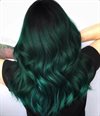 Arctic Fox - Emerald Fortune