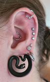 Svarta Snake Ear Saddles - Säljs i par
